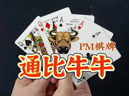 【PM棋牌系統介紹】了解PM亞博棋牌遊戲的豐富內容和特色！ | T9娛樂城