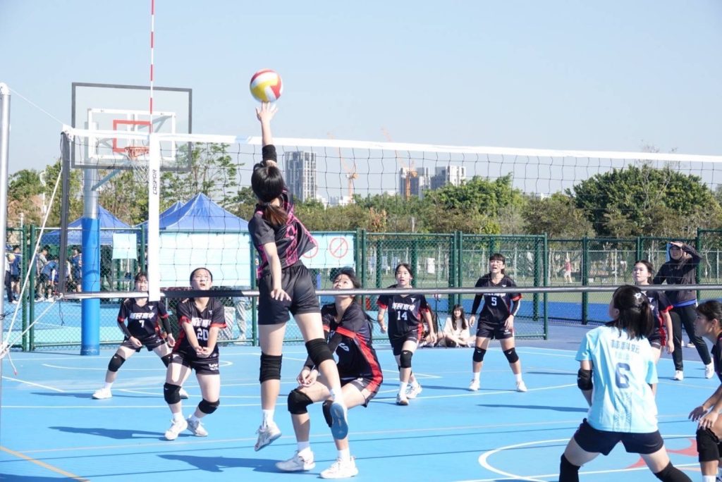 帶你體驗無與倫比的排球下注樂趣｜T9娛樂城